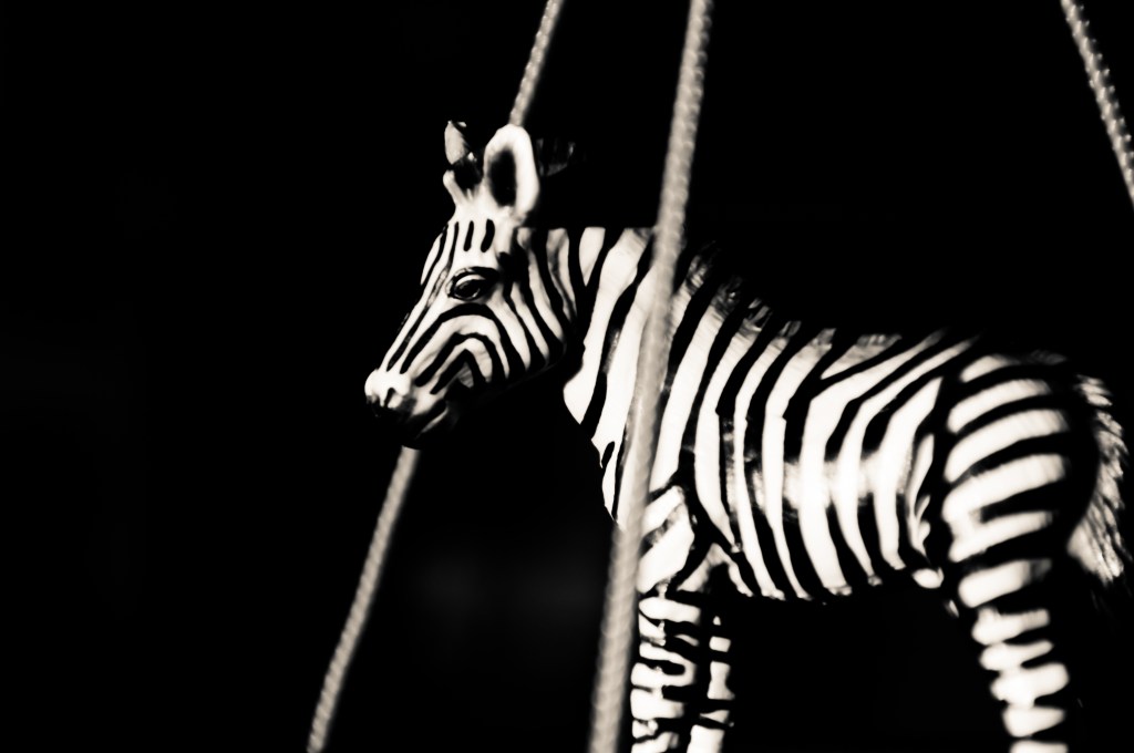 So gesehen- ein Fotoprojekt