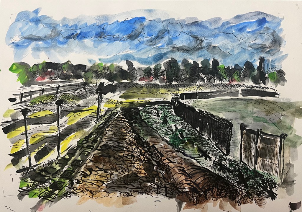 Wanderung 2024/ Mahnmal Deutsche Teilung/ „Grünes Band“/&nbsp;Hötensleben