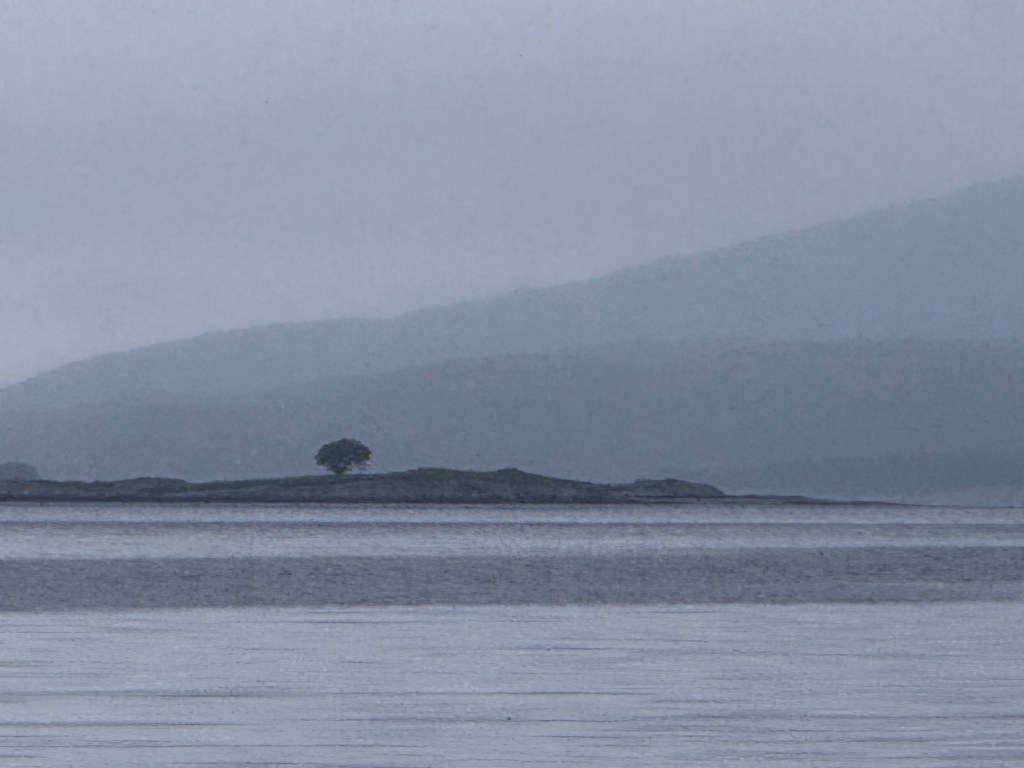 Ein einsamer Baum auf einer kleinen Insel vor einem ruhigen Gewässer und sanften Hügeln im Nebel.