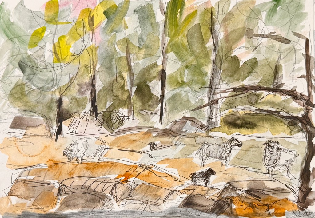 Aquarellzeichnung mit Schafen auf einer Wiese, umgeben von Bäumen und sanften Hügeln, in überwiegend gelb-grünen und braunen Tönen.